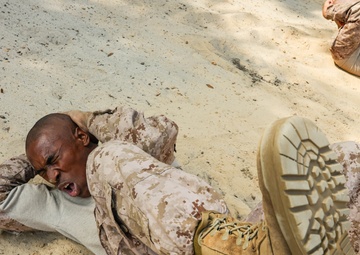 Echo Company Incentive Training