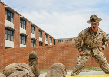 Echo Company Incentive Training