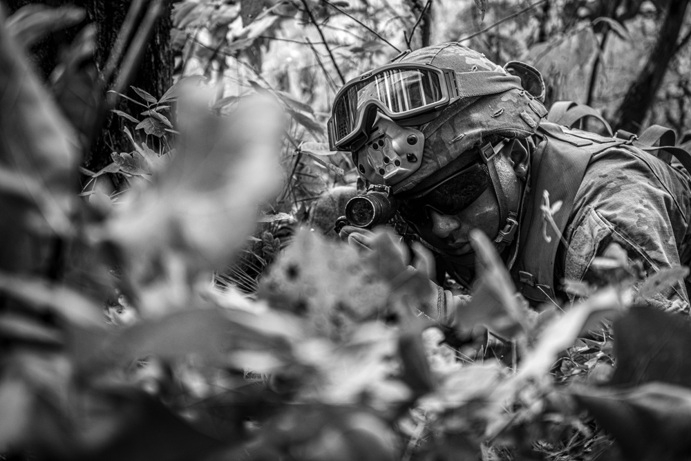 Paratroopers Conduct Air Assault Operation