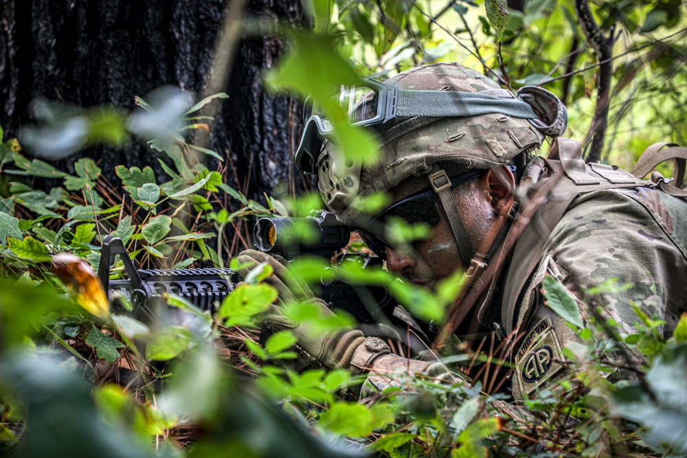 Paratroopers Conduct Air Assault Operation