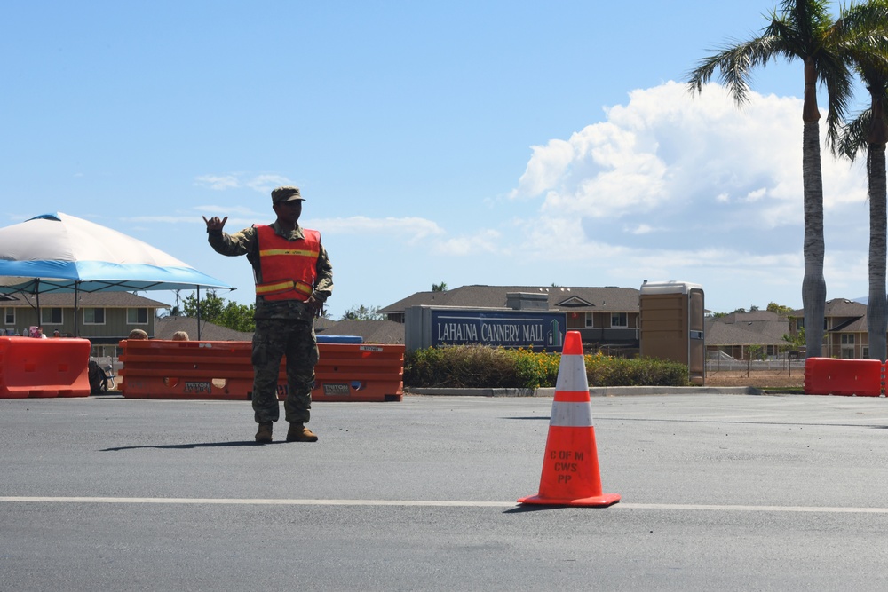 Hawaii National Guard supports Maui wildfire response