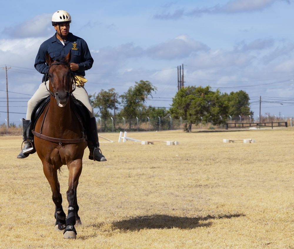 DVIDS - News - First Team Horse Cavalry Detachment Conducts Training