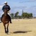 First Team Horse Detachment Conducts Training