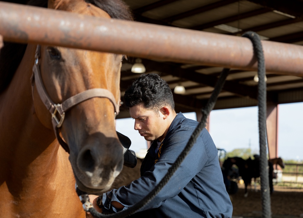 First Team Horse Detachment Conducts Training