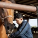 First Team Horse Detachment Conducts Training