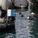 U.S. Navy EOD and RAN CDT conduct simulated hull search exercise