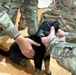 Army Reserve veterinarians augment Operation Walking Shield 2023