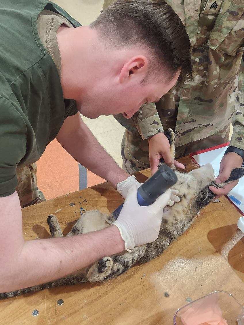 Army Reserve veterinarians augment Operation Walking Shield 2023