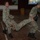 Keris Aman 23 | Malaysian Armed Forces Train for MASCAS