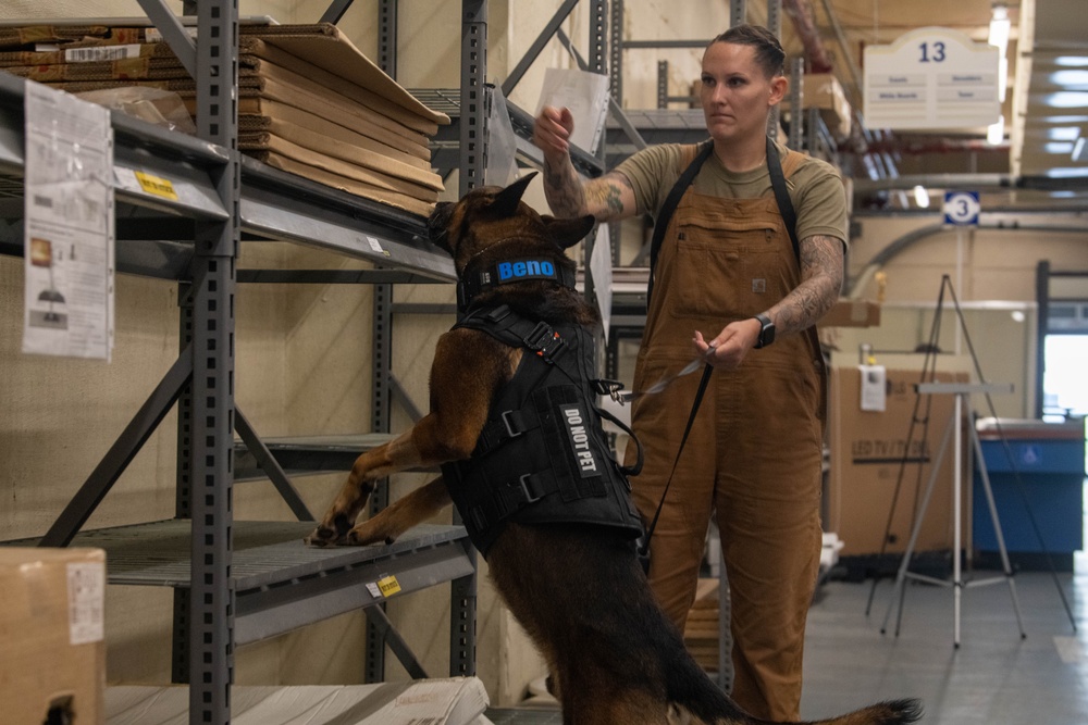 18th SFS Sharpens K9 Detection Skills