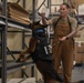 18th SFS Sharpens K9 Detection Skills