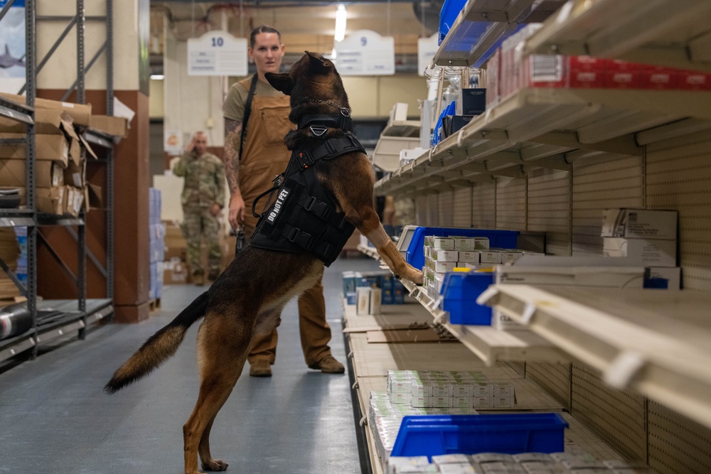 18th SFS Sharpens K9 Detection Skills