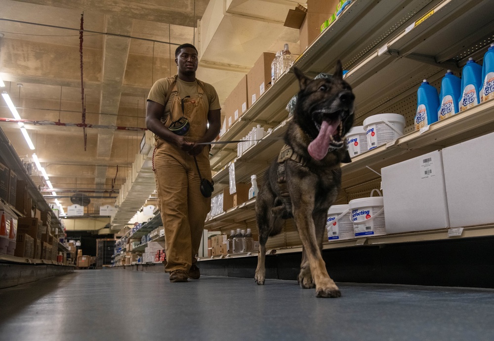 18th SFS Sharpens K9 Detection Skills