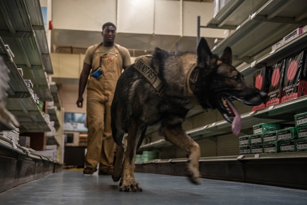 18th SFS Sharpens K9 Detection Skills