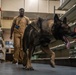 18th SFS Sharpens K9 Detection Skills