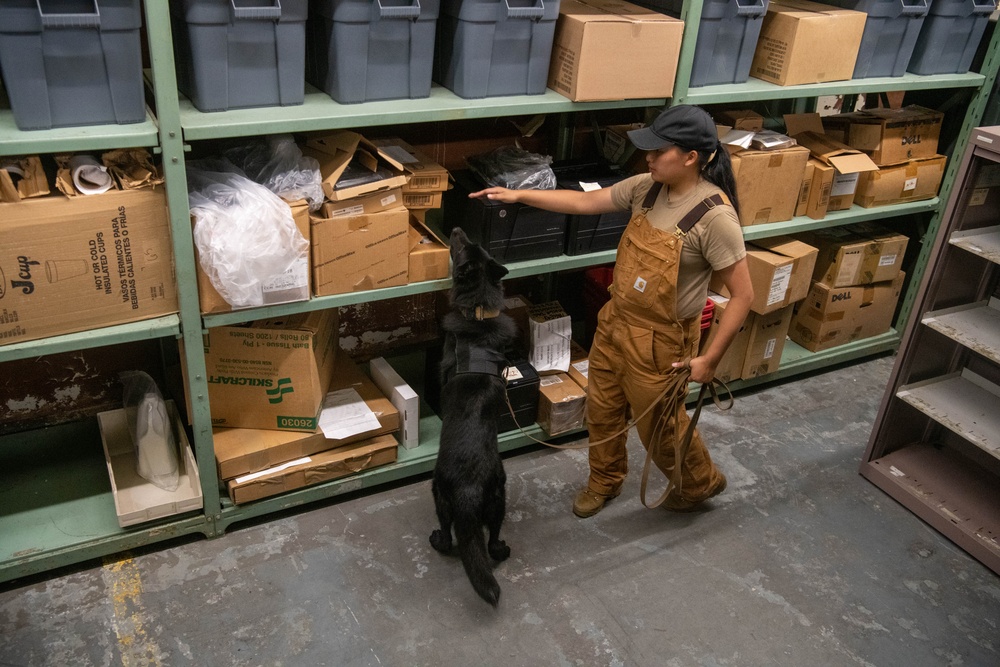 18th SFS Sharpens K9 Detection Skills