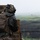 Fuji Viper 23.3 Unknown Distance Live-Fire Range