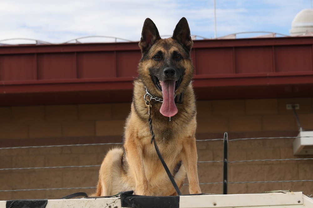 Friday Face MWD Ken