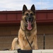 Friday Face MWD Ken
