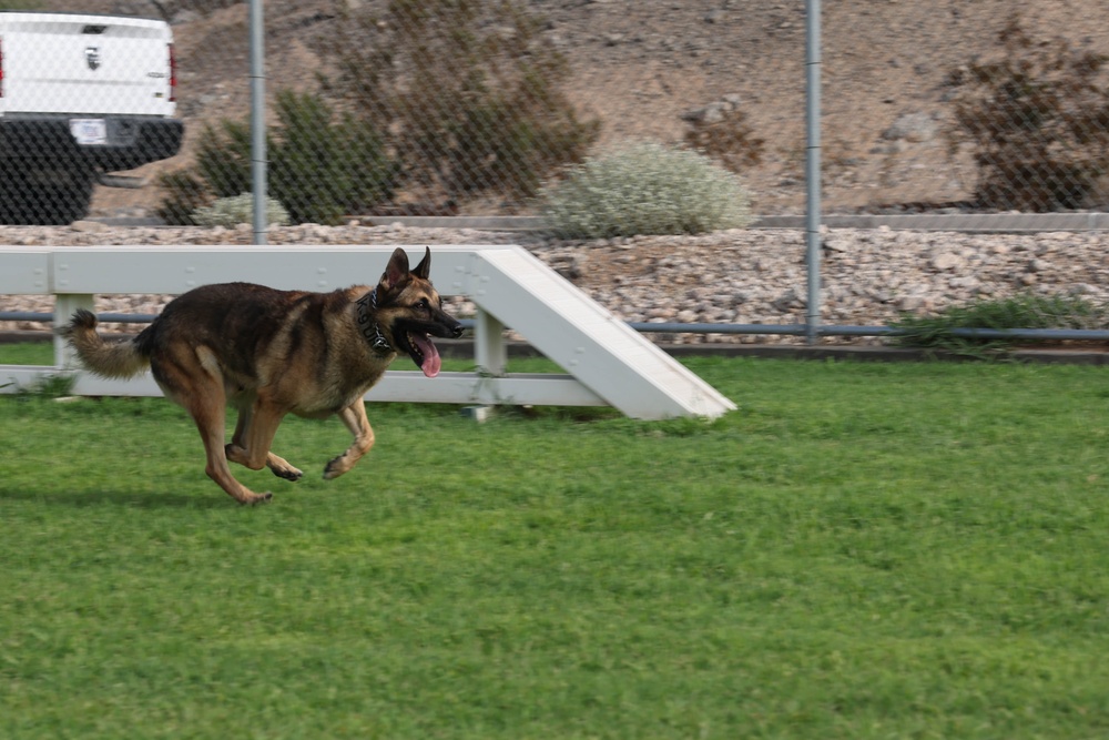 Friday Face MWD Ken