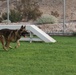 Friday Face MWD Ken