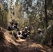 3d LLB Marines conduct Pololu Strike