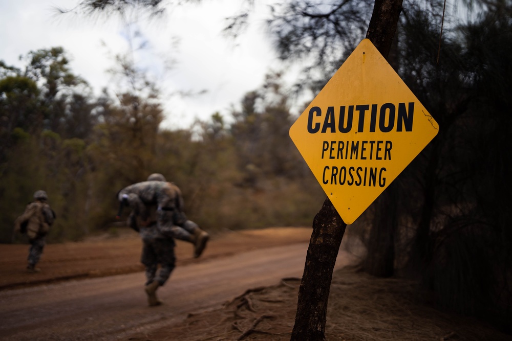3d LLB Marines conduct Pololu Strike