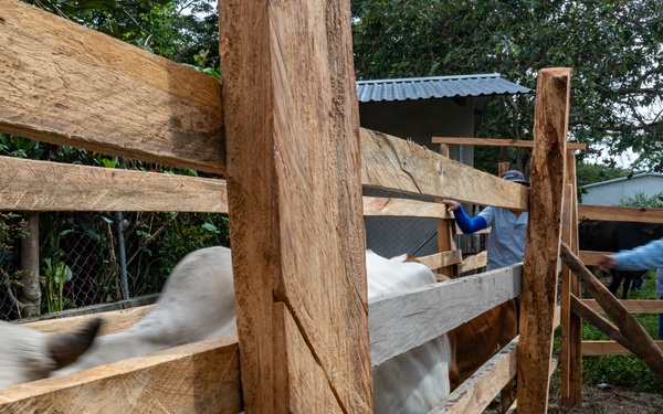 VETRETE provides animal care, builds partnerships