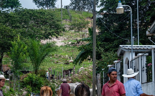 VETRETE provides animal care, builds partnerships