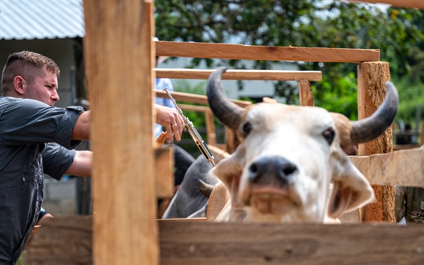 VETRETE provides animal care, builds partnerships