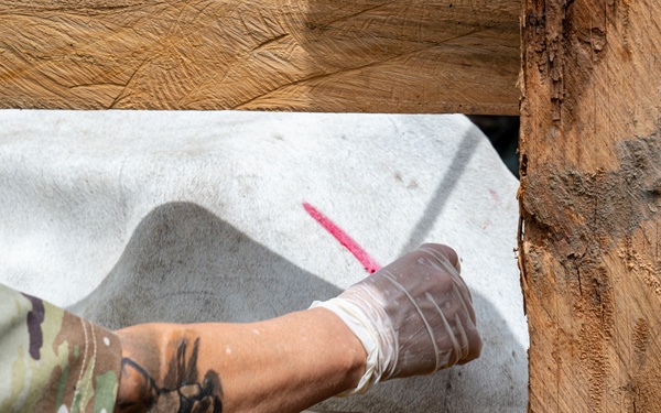 VETRETE provides animal care, builds partnerships