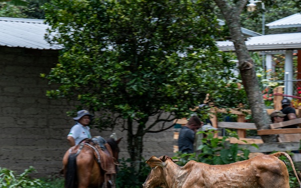 VETRETE provides animal care, builds partnerships