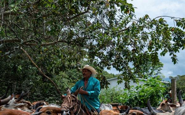 VETRETE provides animal care, builds partnerships