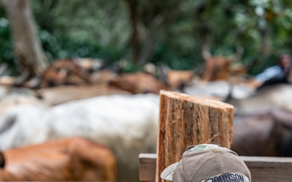 VETRETE provides animal care, builds partnerships