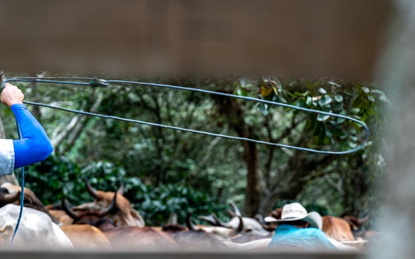 VETRETE provides animal care, builds partnerships