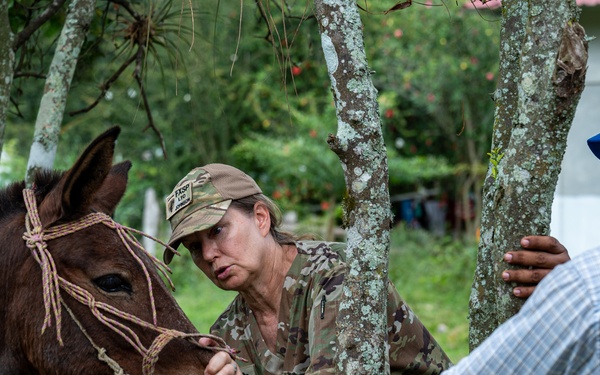 VETRETE provides animal care, builds partnerships