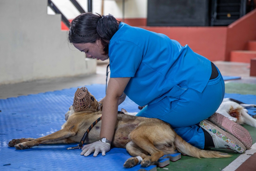 Pacific Partnership 2023: Spay-Neuter and RV Campaign