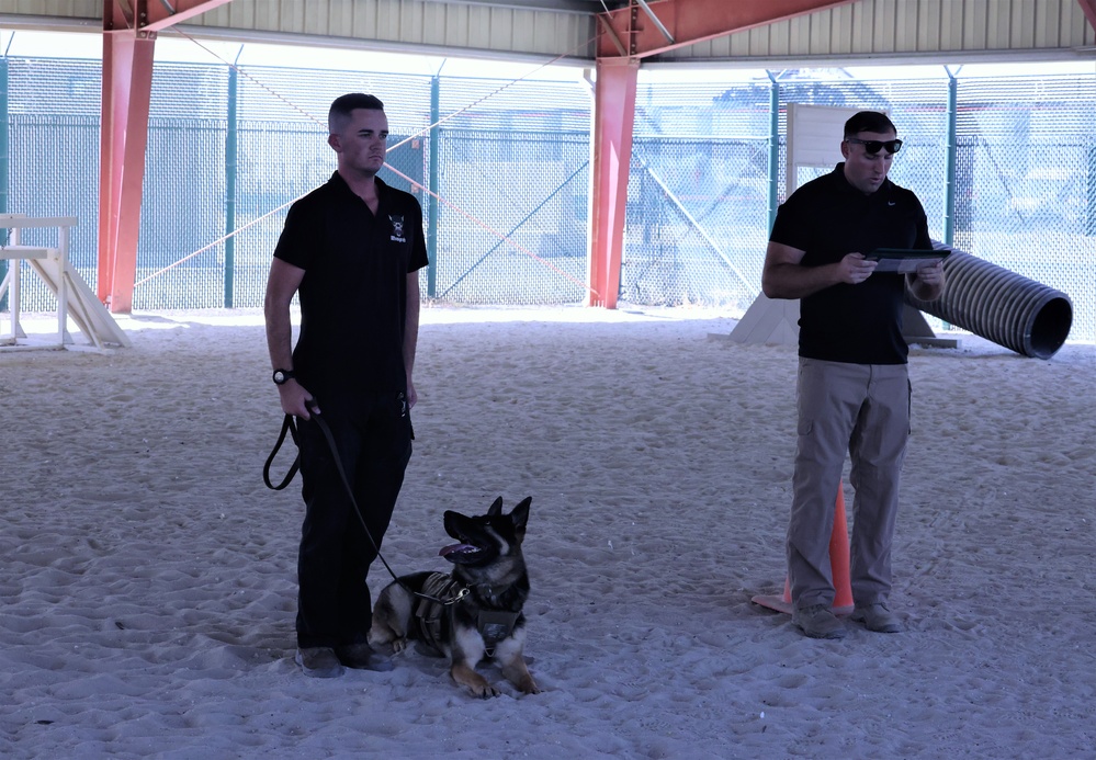 Military Working Dog and Handler receive ARCOM, August 2023