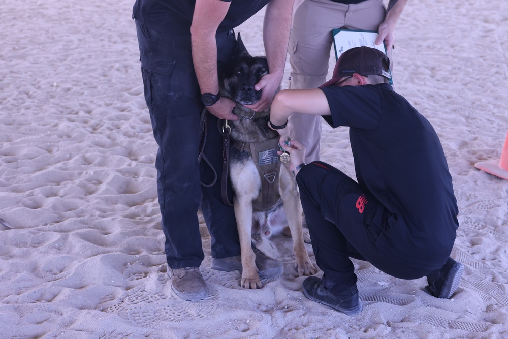 Military Working Dog and Handler receive ARCOM, August 2023