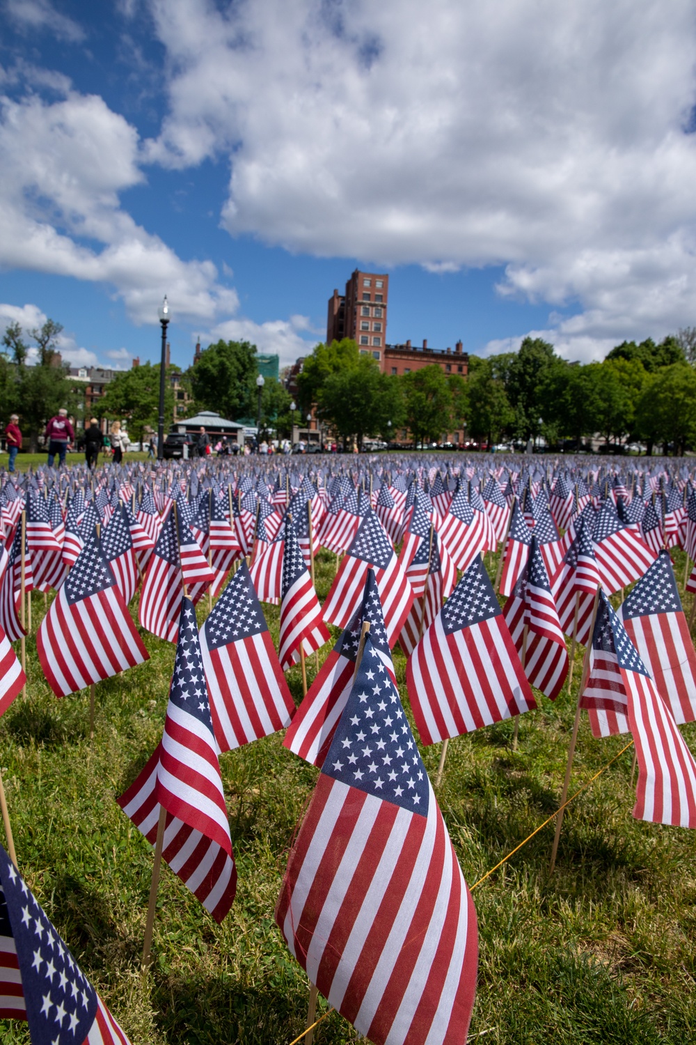 Annual Memorial Day Flag Garden Honors Fallen Massachusetts Service Members