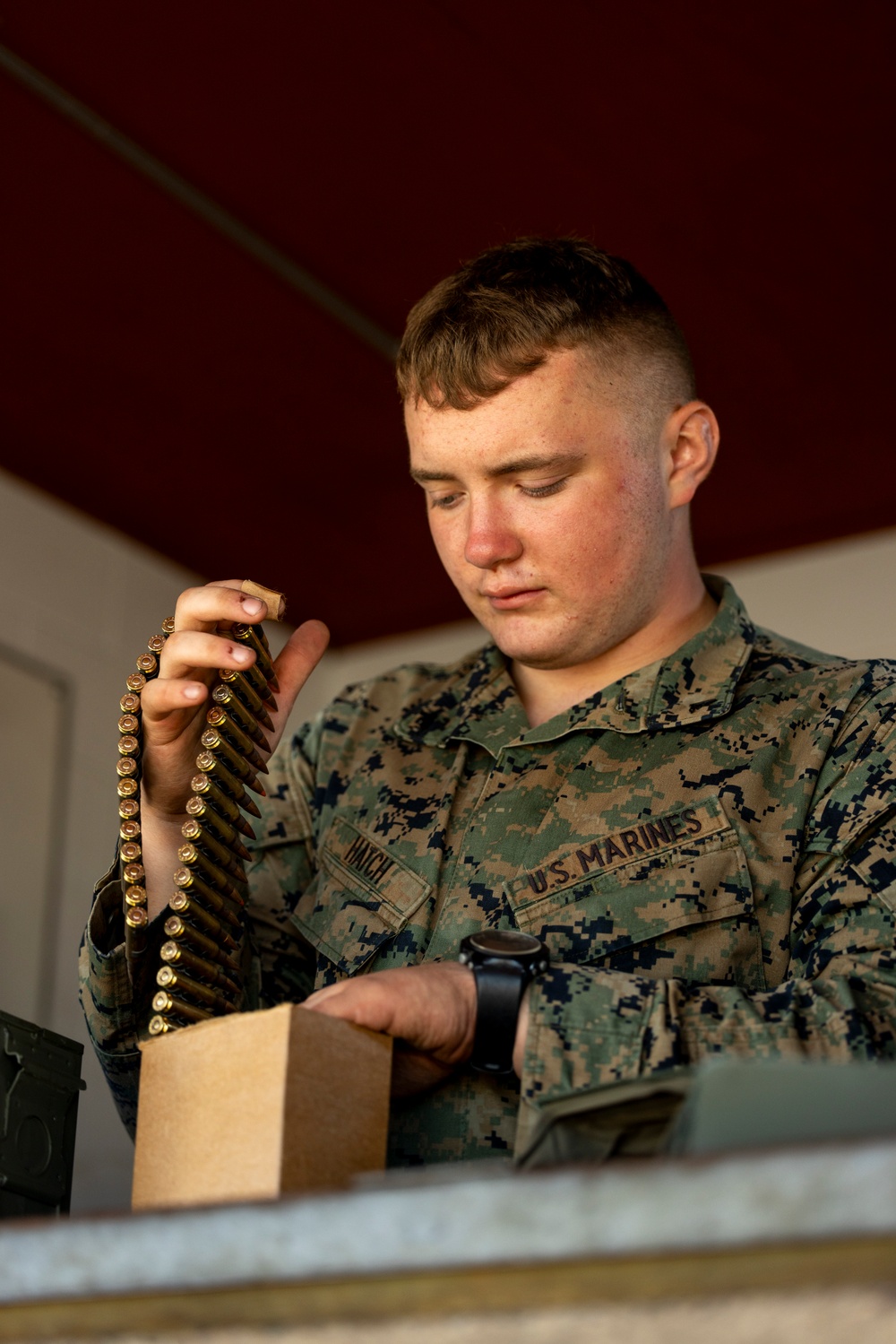 2nd Battalion, 24th Marines Annual Training