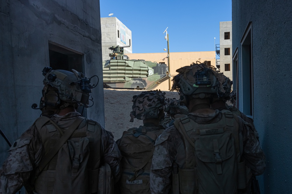 Marines with 3/7, 3rd AAB, 1st CEB conduct a mechanized assault on an urban environment during AFX 5-23