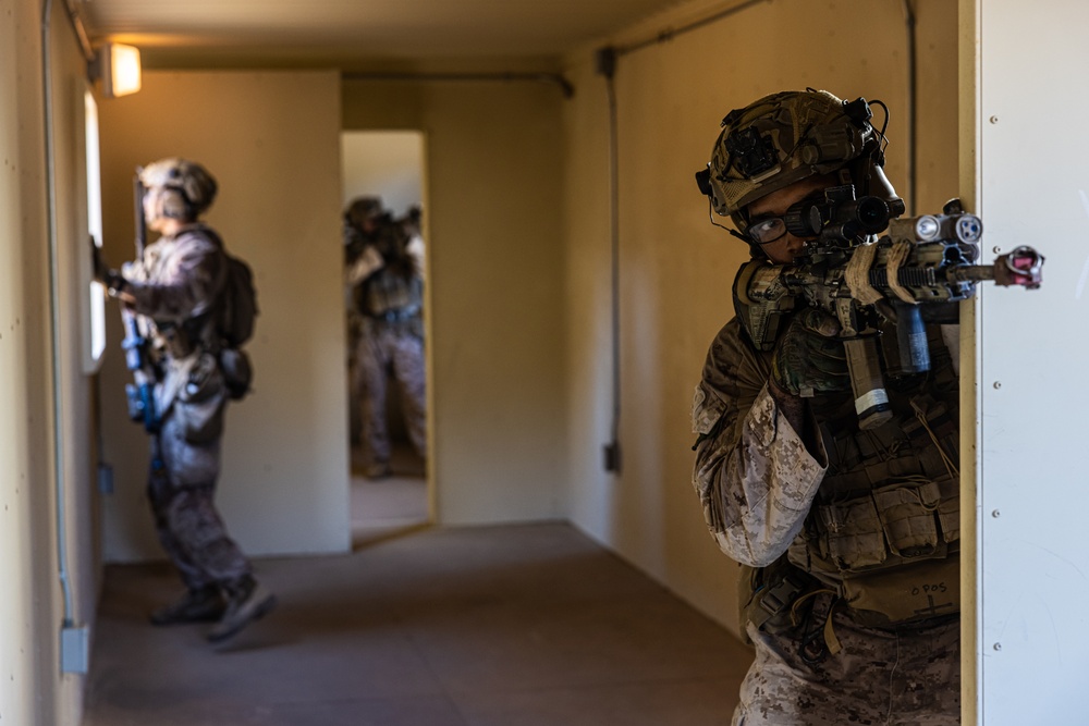 Marines with 3/7, 3rd AAB, 1st CEB conduct a mechanized assault on an urban environment during AFX 5-23