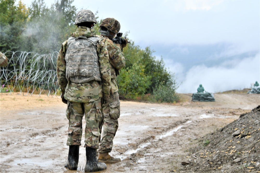 70th BEB Kodiaks meet black bear brothers during field training