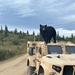 70th BEB Kodiaks meet black bear brothers during field training