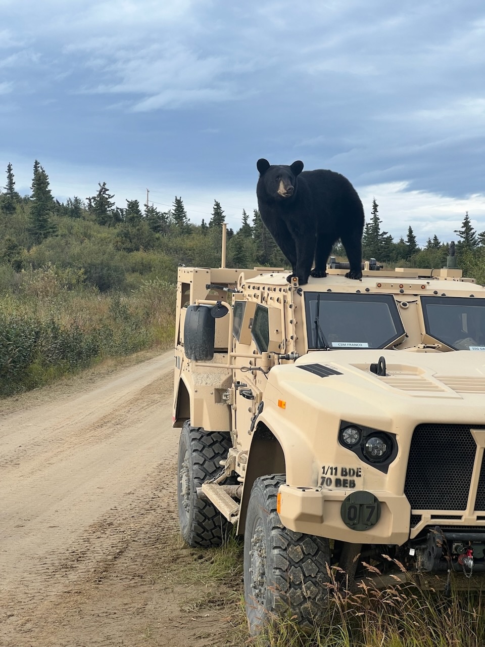 70th BEB Kodiaks meet black bear brothers during field training