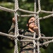 Corporals Course runs the Confidence Course