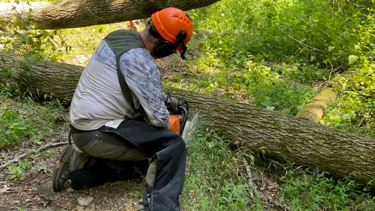 Volunteers lauded for work on Bear Wheels Mountain Bike Trail