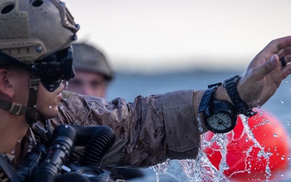 24 MEU MSPF Conducts EDPD Training