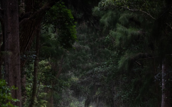 Airmen, Guardian, Soldiers lead the way during Ranger Assessment Course
